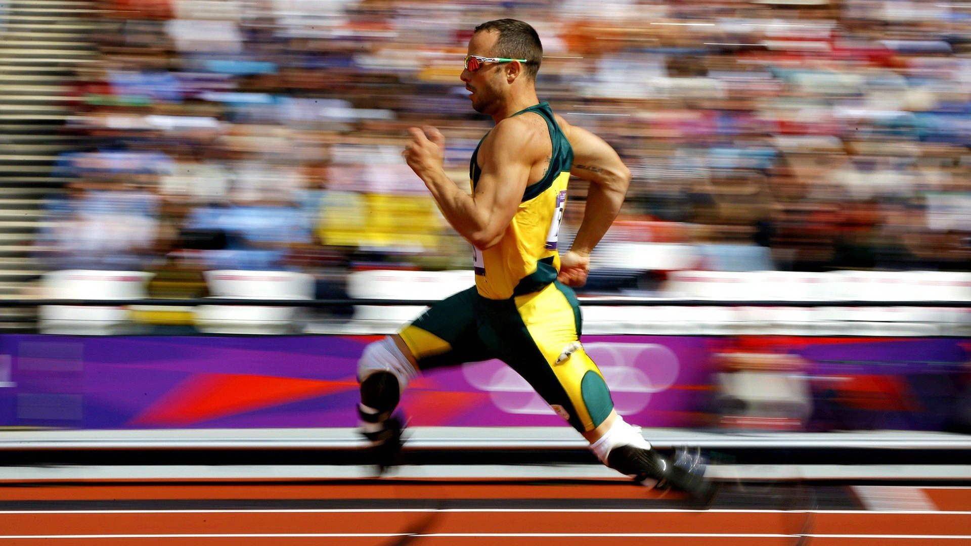 乒乓球赛场焦点！比利时队对阵美国队，历史性突破，球队首次挺进决赛